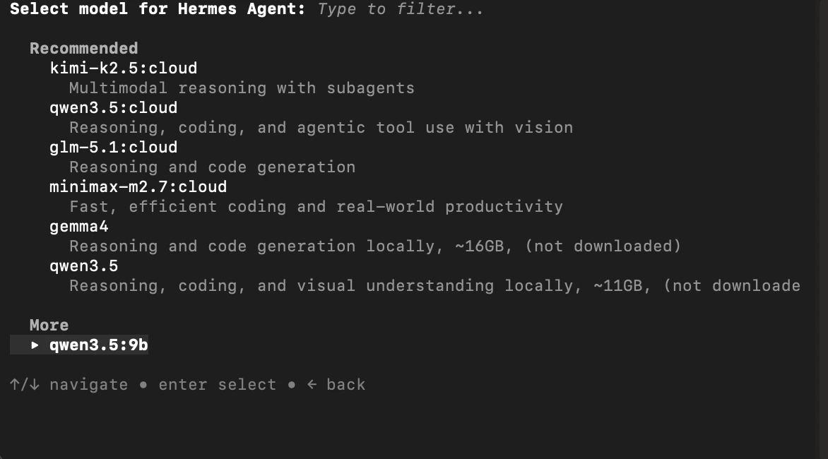 Hermes model picker showing local and cloud options